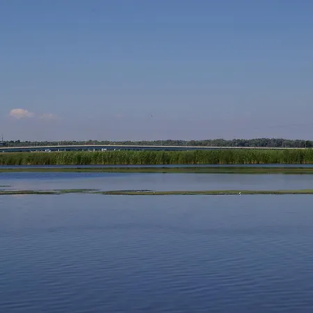 Agroturystyka Pod Brzozami *