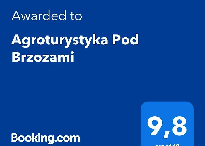 Pod Brzozami